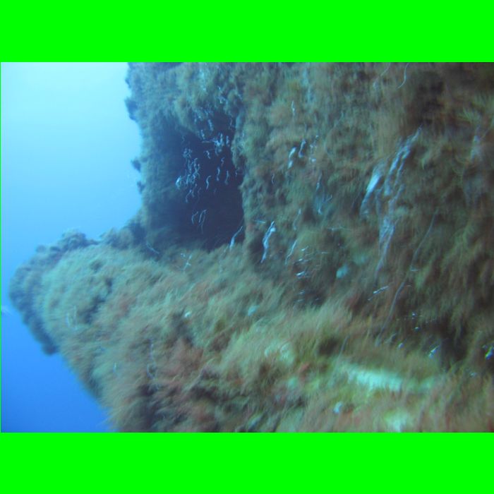 Dive WP Wrecks 25-Oct-09_251.JPG